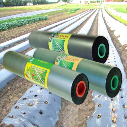 AGRICULTURAL FILM – IEV Plastic